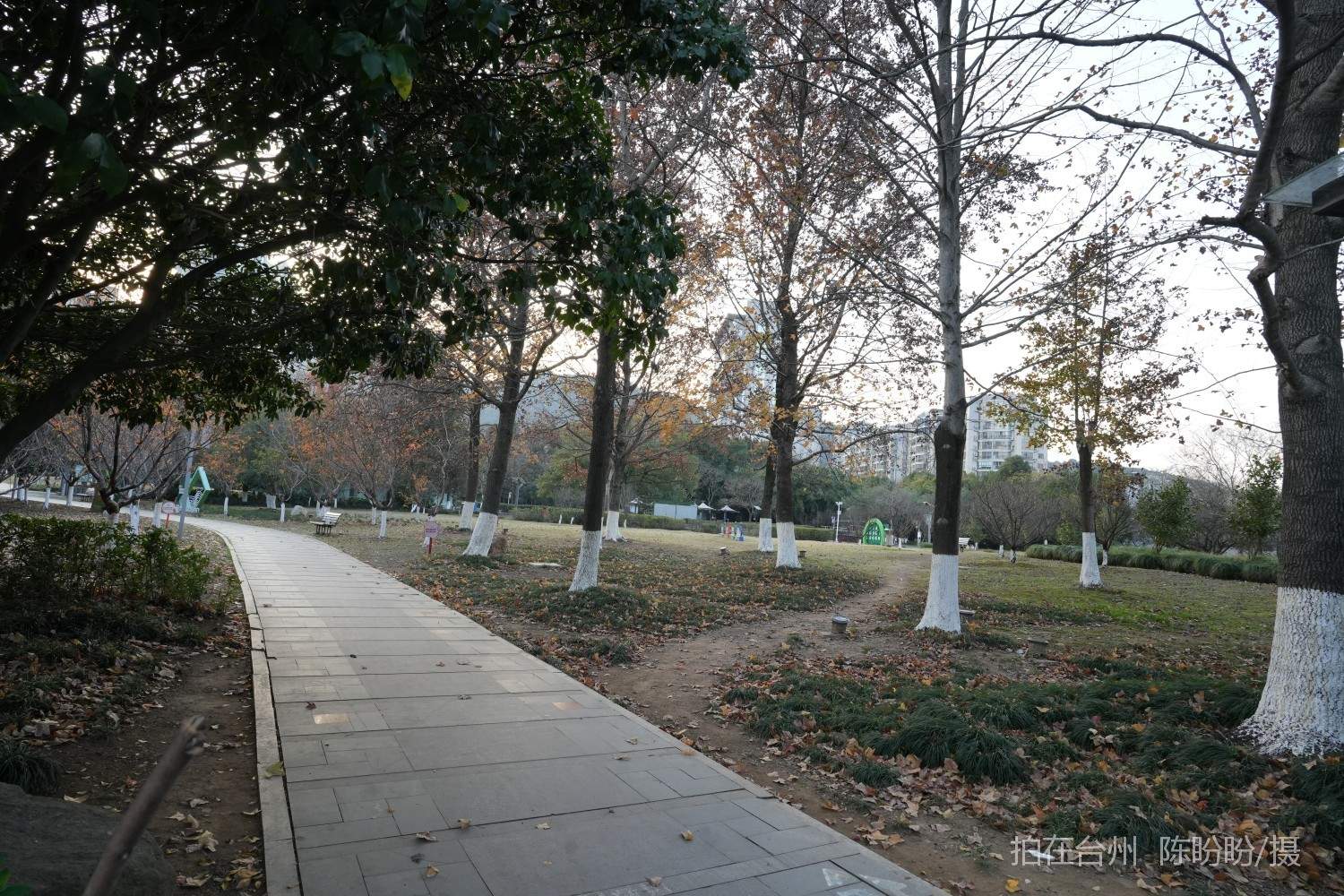 三门心湖公园(图11)