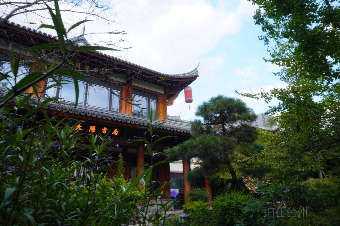 椒江葭沚老街15分钟都市修仙微短剧拍摄圈(图14)