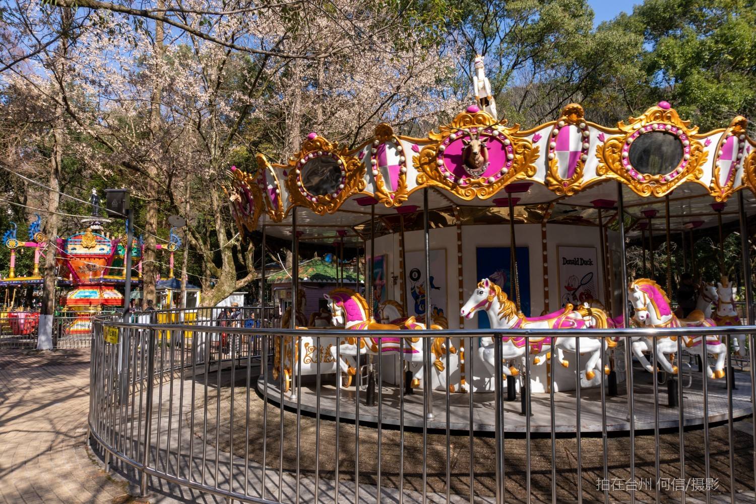 黄岩九峰乐园儿童休闲乐游公园(图10)