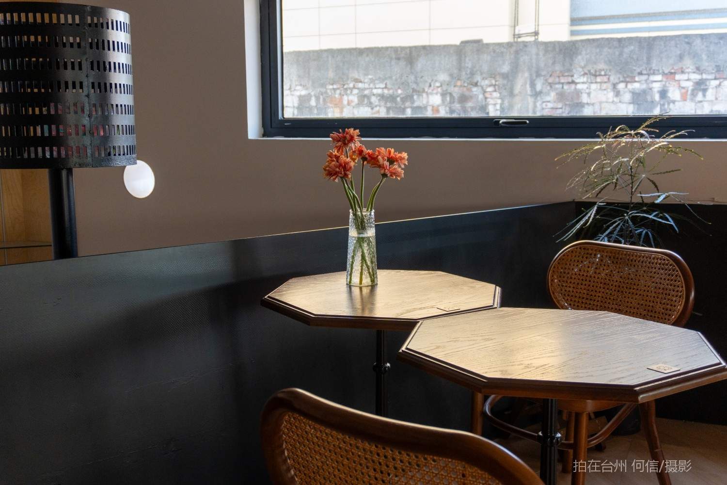 黄岩西城街道 船坞Dock咖啡吧(图10)