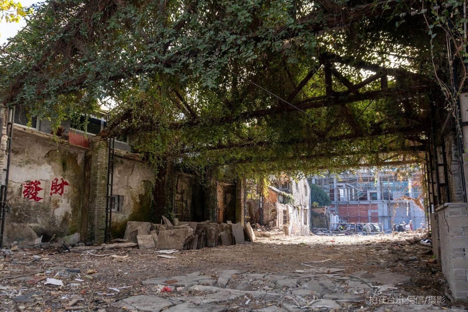 黄岩西城街道东禅酒厂文化园农业生产纪念馆(图7)