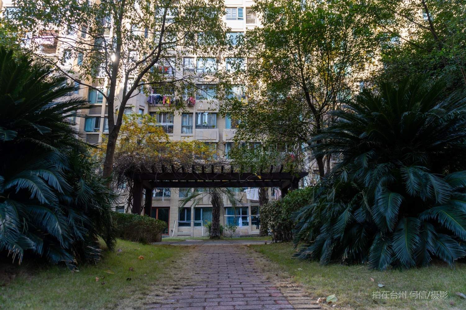 黄岩西城街道华府天地 社区住宅带泳池(图15) 黄岩西城街道华府天地 社区住宅带泳池(图15)