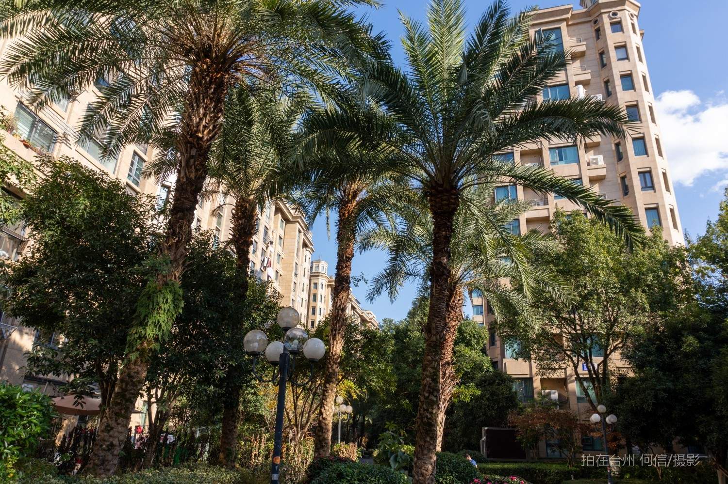 黄岩西城街道华府天地 社区住宅带泳池(图13) 黄岩西城街道华府天地 社区住宅带泳池(图13)