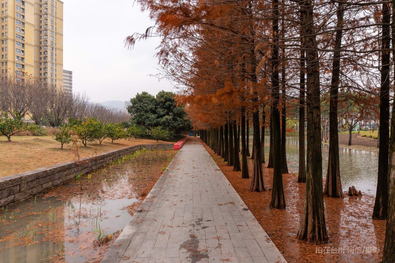 黄岩西城街道江北公园(图35)