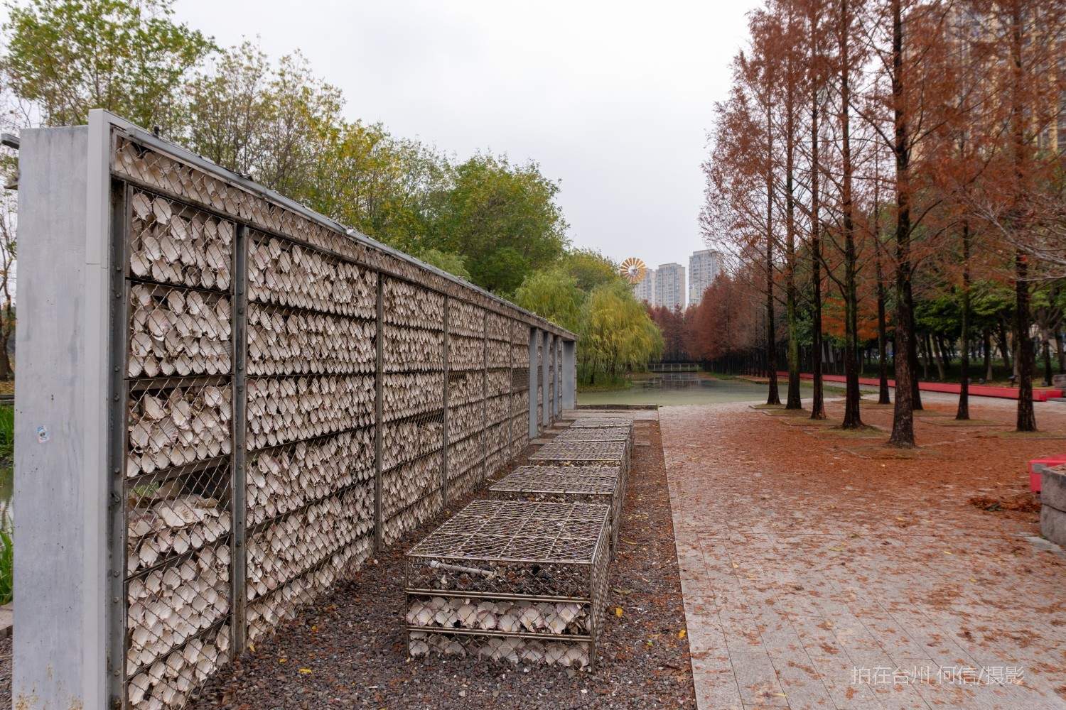 黄岩西城街道江北公园(图33)