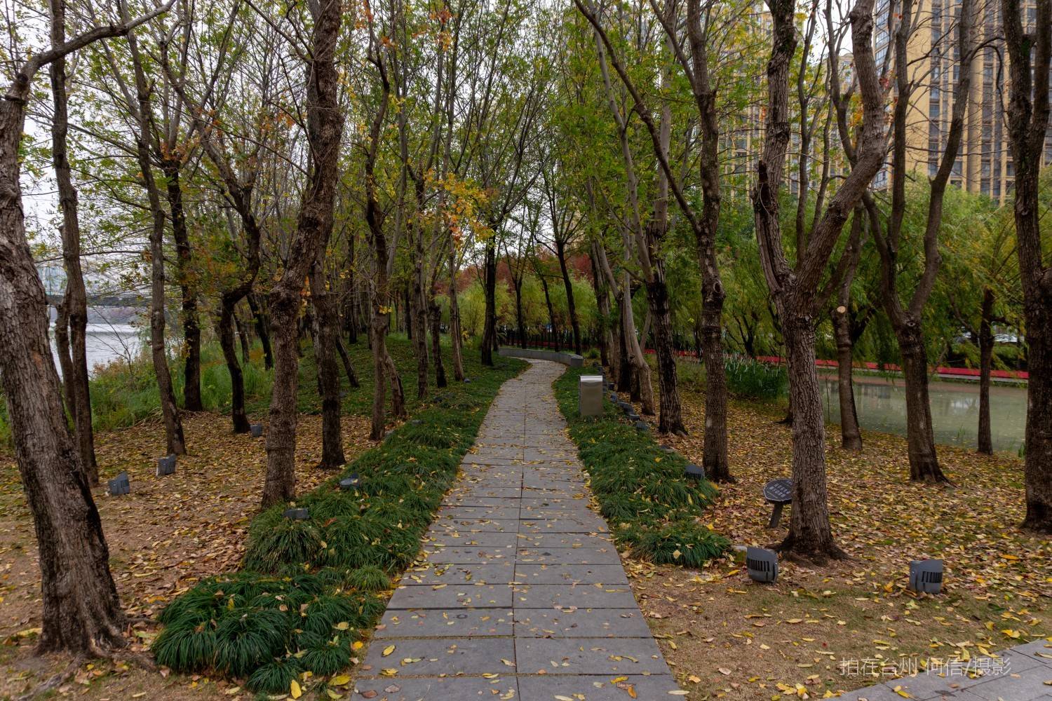 黄岩西城街道江北公园(图25)