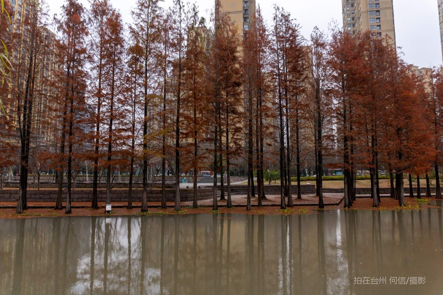 黄岩西城街道江北公园(图27)