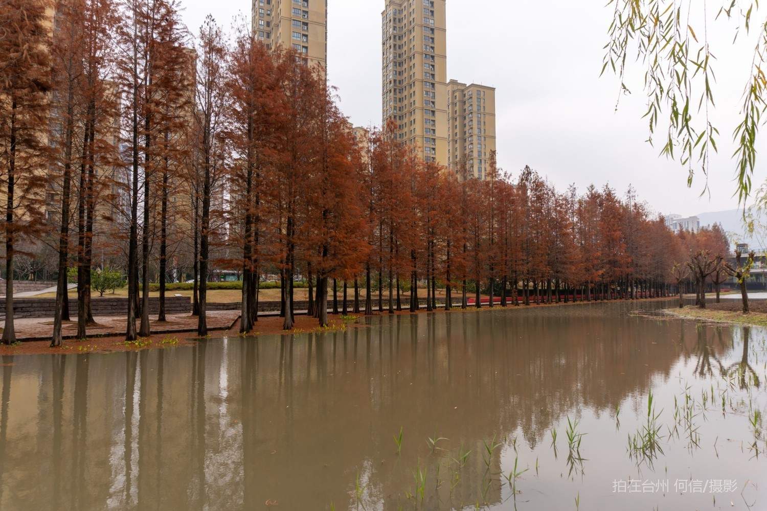 黄岩西城街道江北公园(图22)