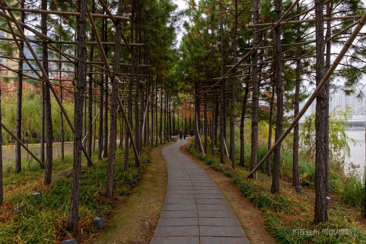 黄岩西城街道江北公园(图20)