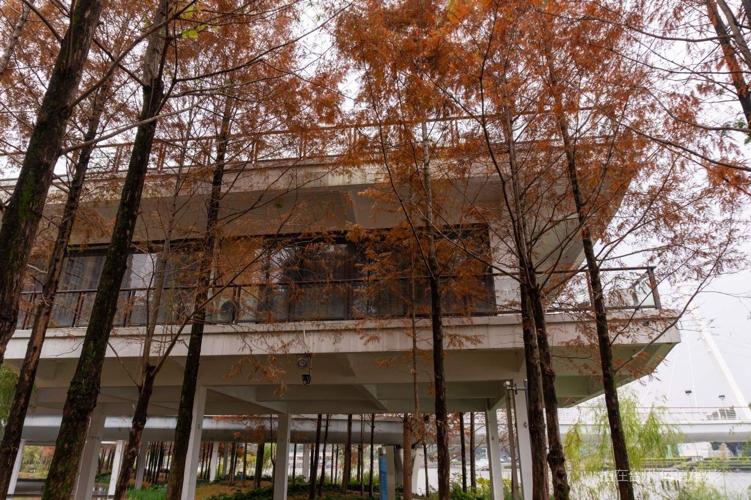 黄岩西城街道江北公园(图19)