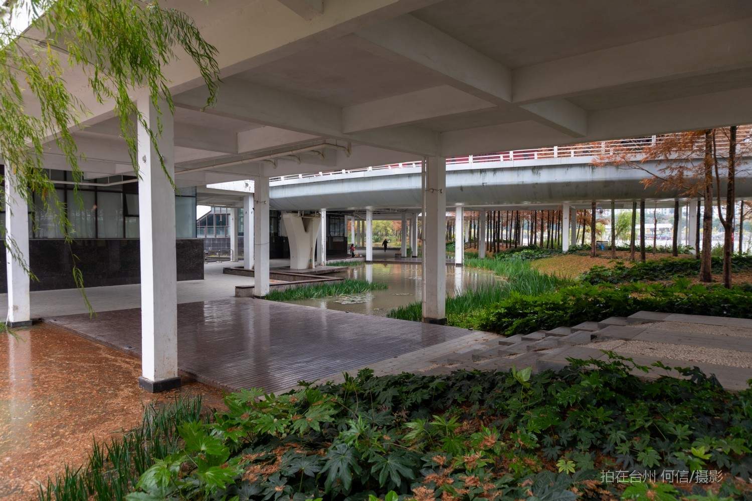 黄岩西城街道江北公园(图18)