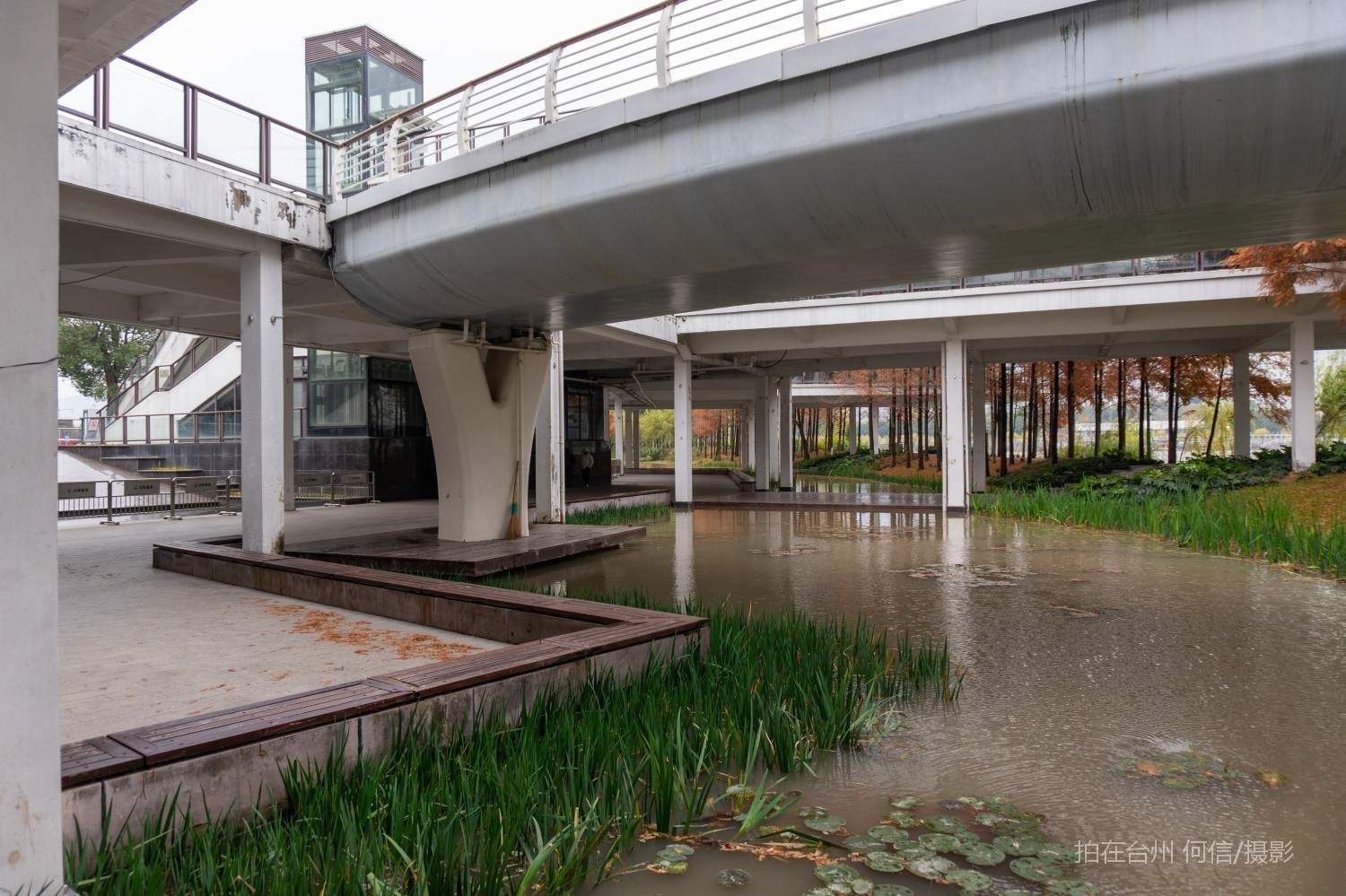 黄岩西城街道江北公园(图12)