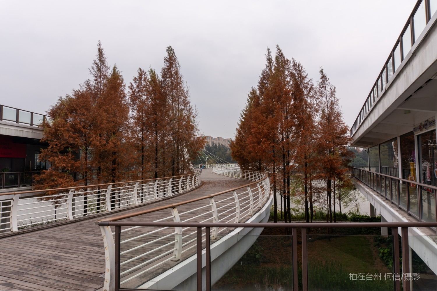 黄岩西城街道江北公园(图16)