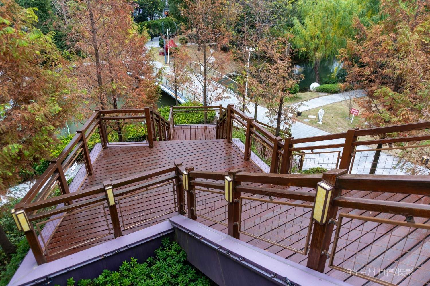 黄岩西城街道鹭洲树屋官河古道附属书吧(图28)