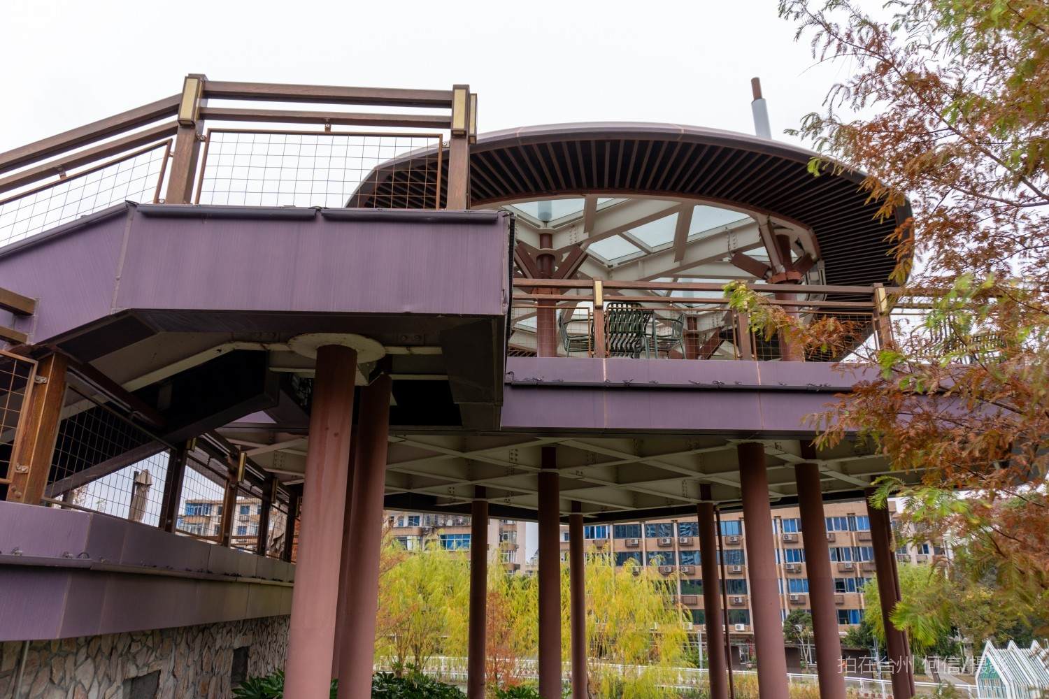 黄岩西城街道鹭洲树屋官河古道附属书吧(图29)