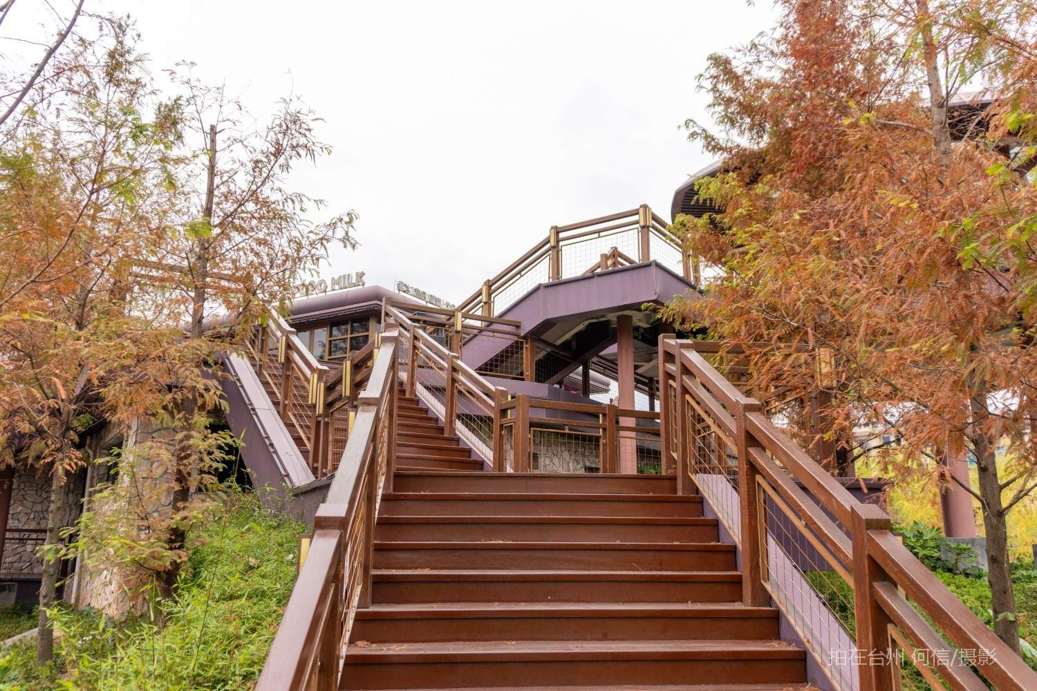 黄岩西城街道鹭洲树屋官河古道附属书吧(图30)