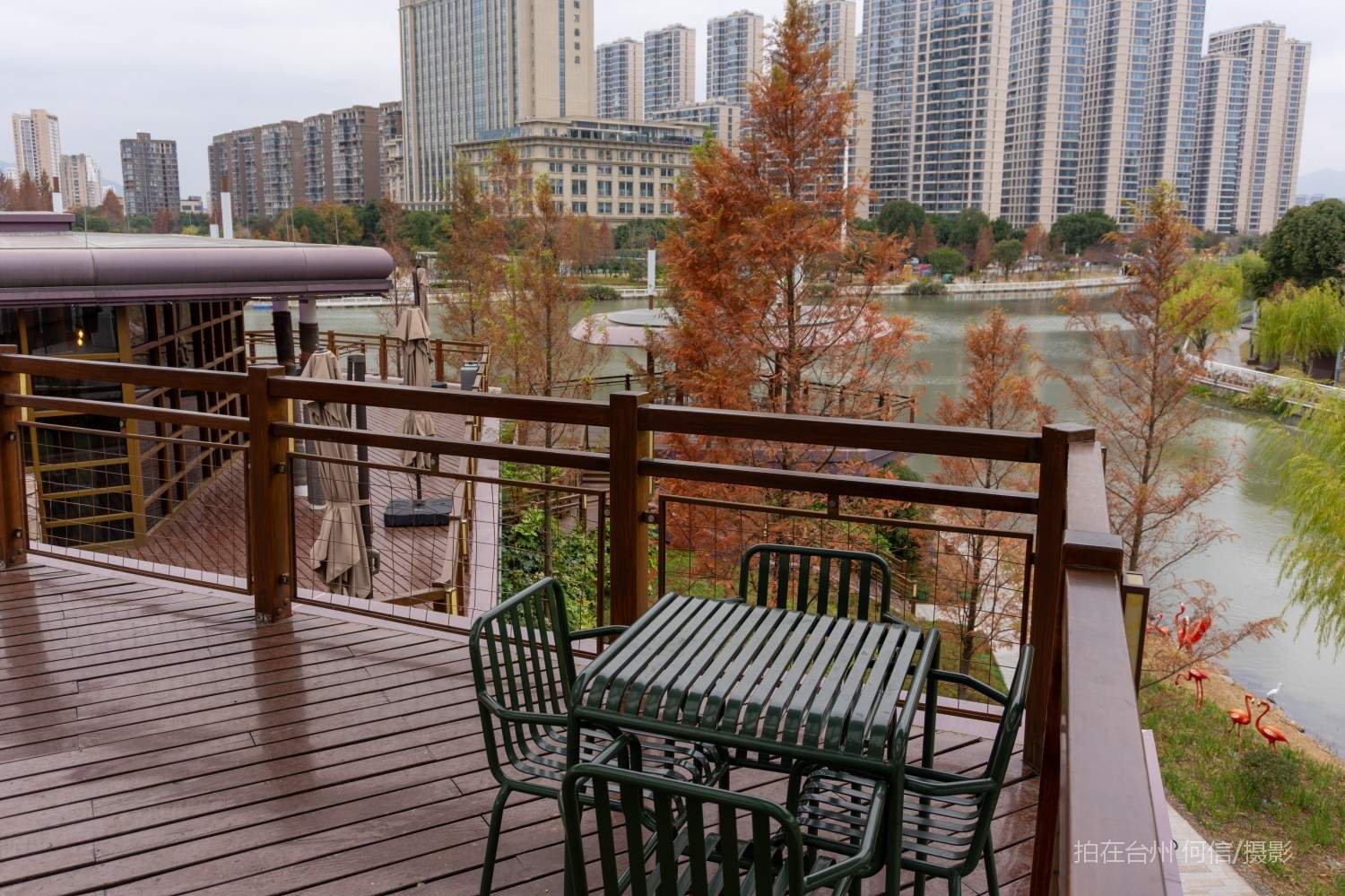 黄岩西城街道鹭洲树屋官河古道附属书吧(图22)