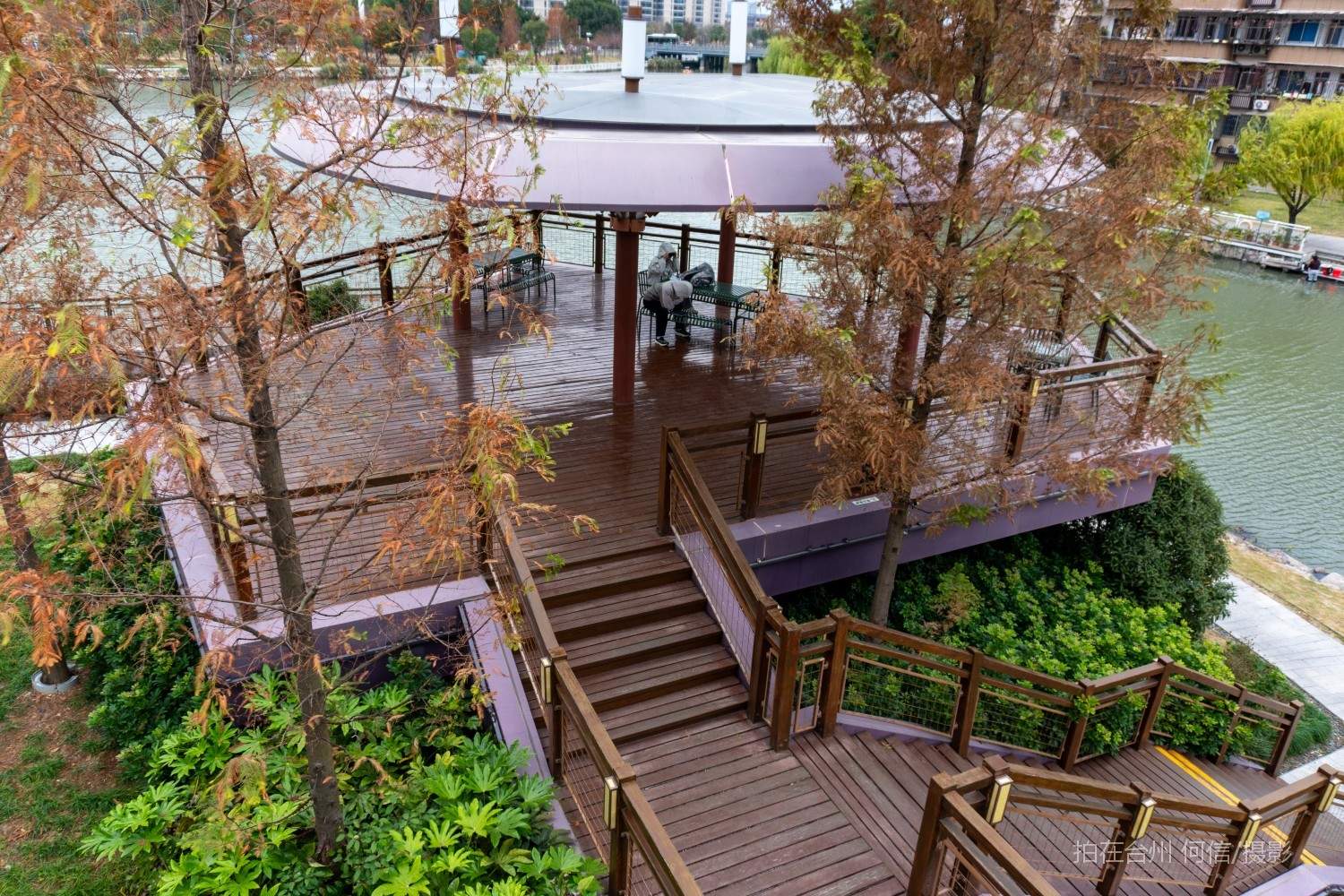 黄岩西城街道鹭洲树屋官河古道附属书吧(图14)