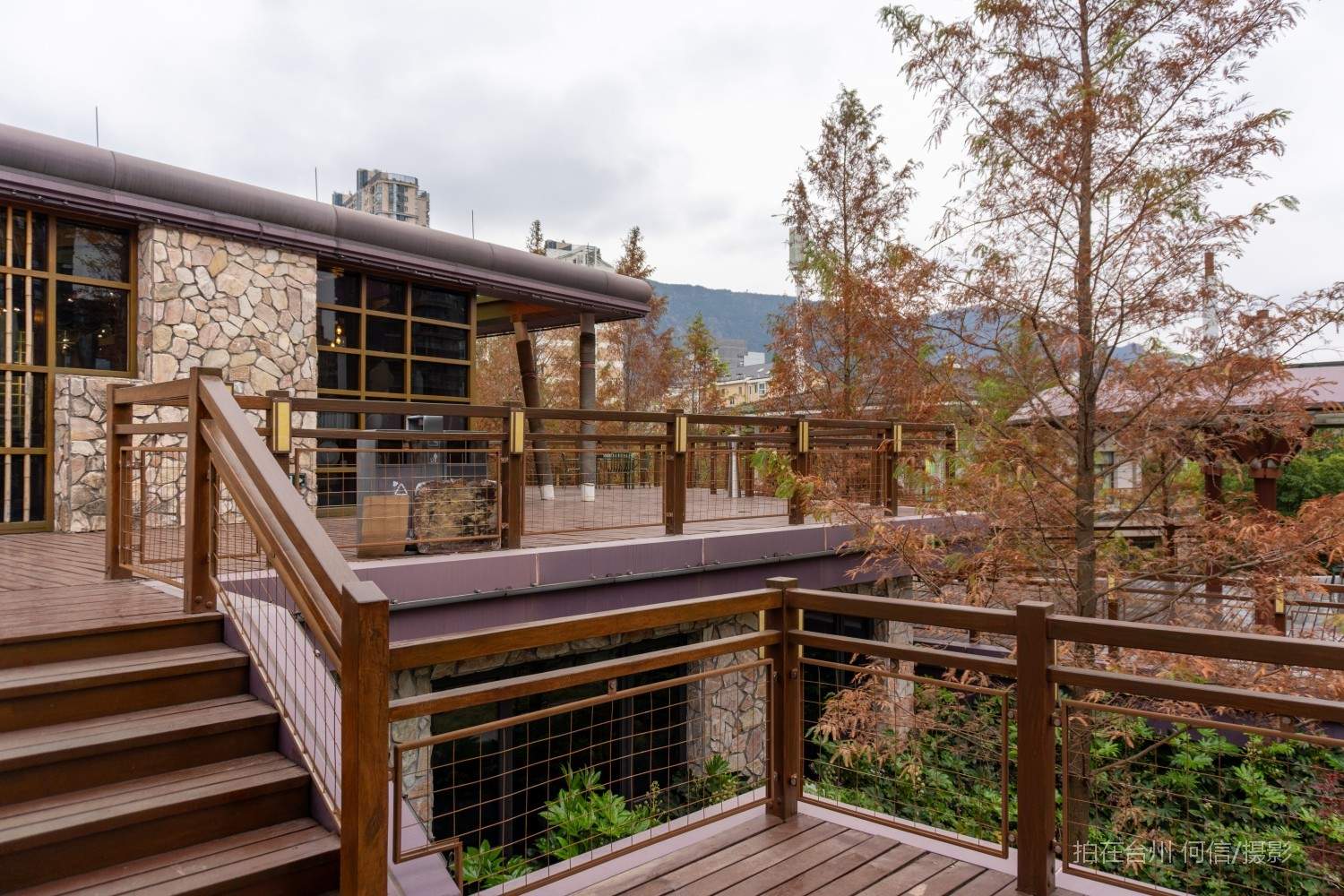 黄岩西城街道鹭洲树屋官河古道附属书吧(图11)