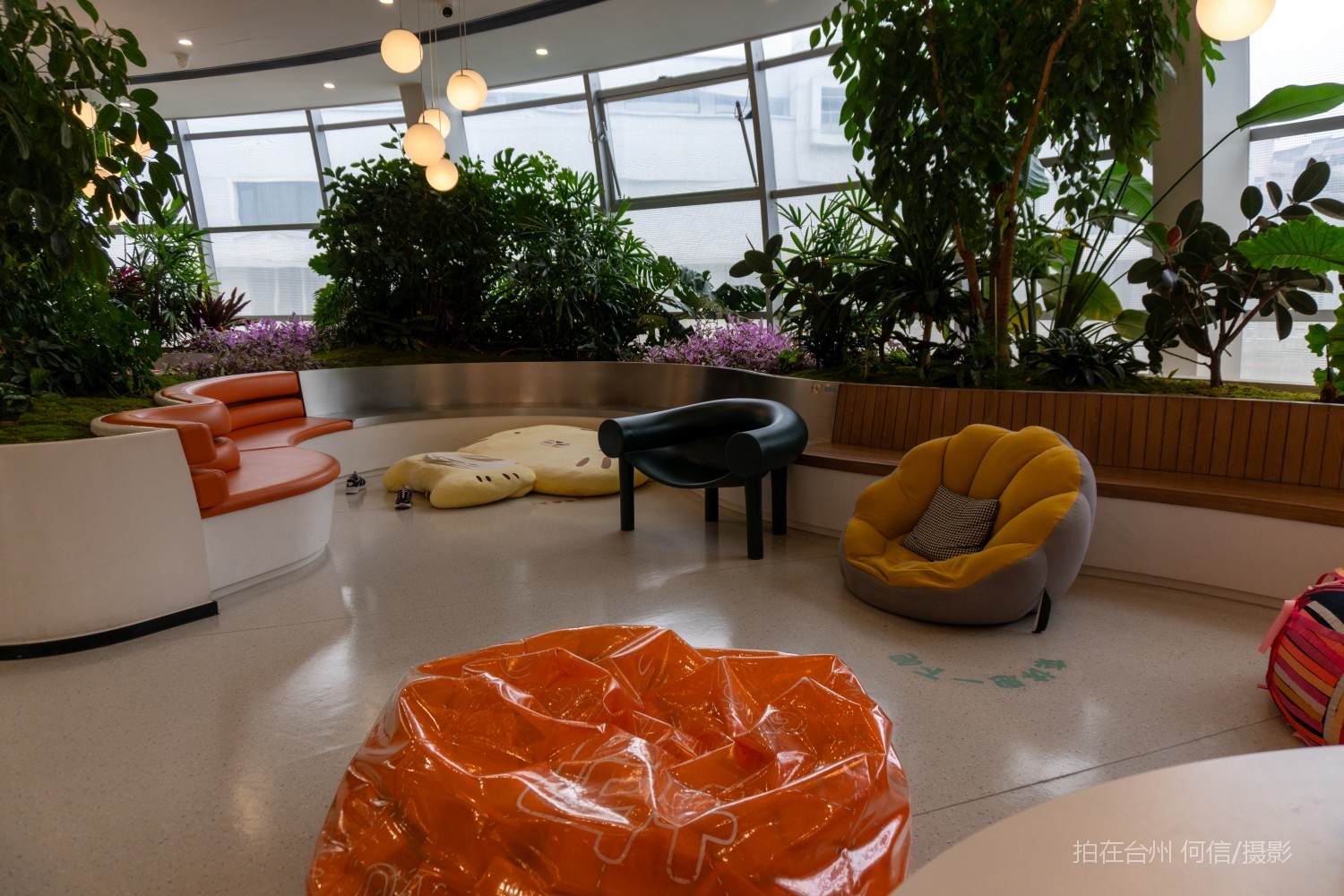 台州黄岩幸福科学馆情绪治愈咖啡(图19) 台州黄岩幸福科学馆情绪治愈咖啡(图19)