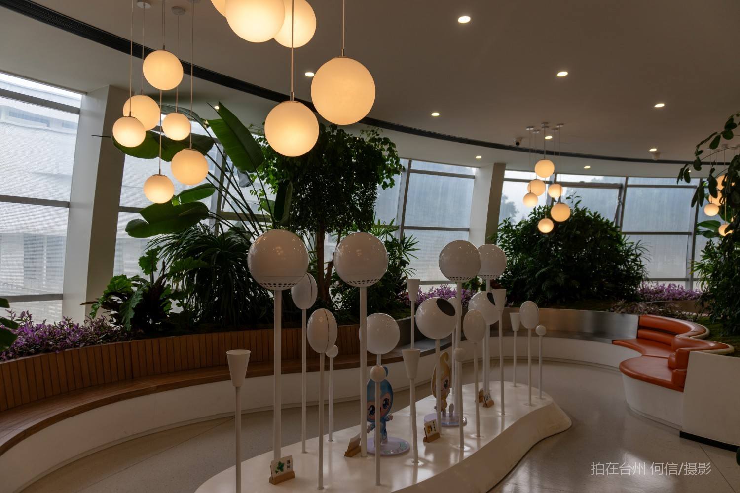 台州黄岩幸福科学馆情绪治愈咖啡(图23) 台州黄岩幸福科学馆情绪治愈咖啡(图23)