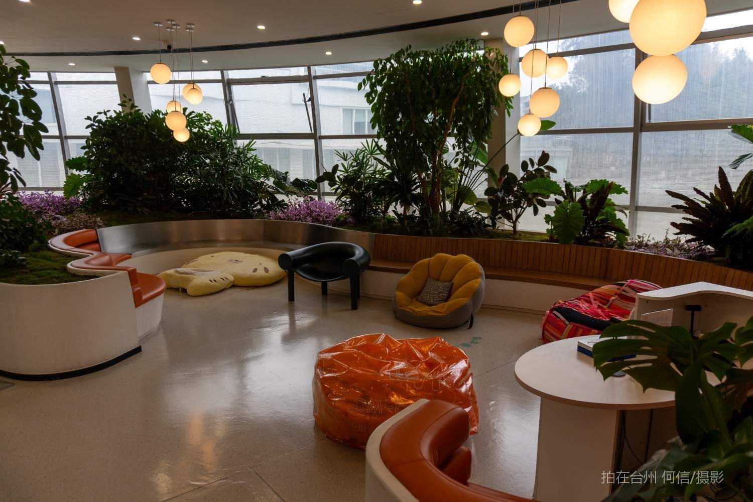 台州黄岩幸福科学馆情绪治愈咖啡(图14) 台州黄岩幸福科学馆情绪治愈咖啡(图14)