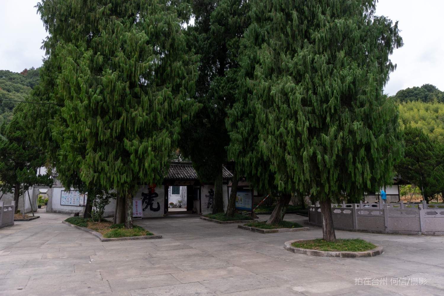 黄岩西城街道委羽山道教主题公园宗教场所道教圣地(图47)