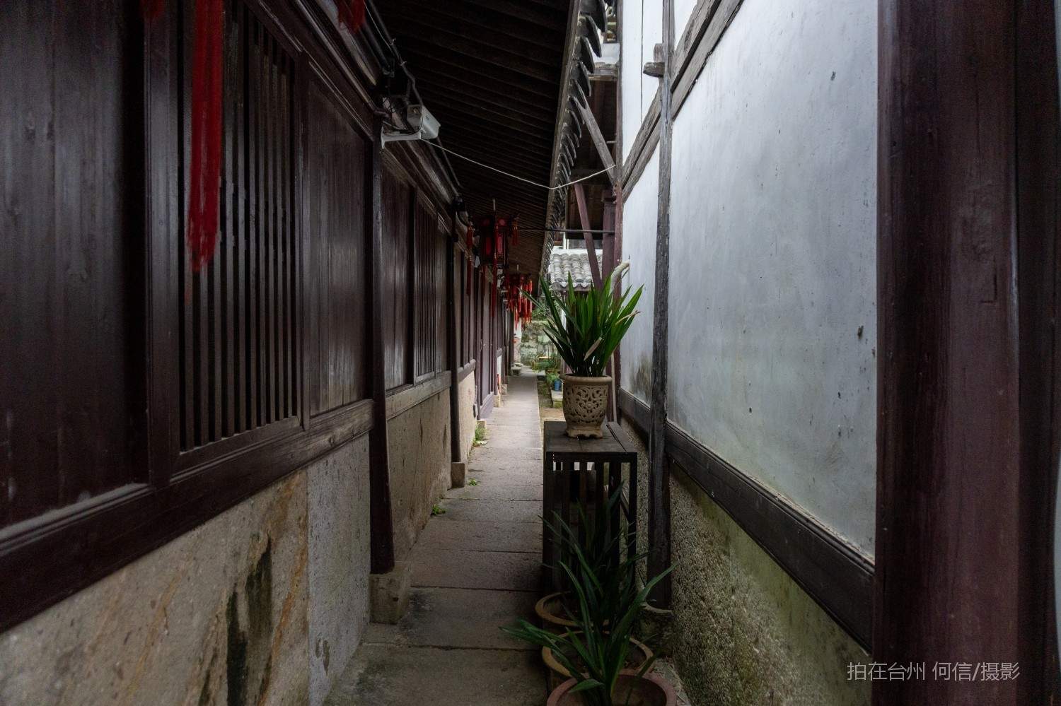 黄岩西城街道委羽山道教主题公园宗教场所道教圣地(图20)