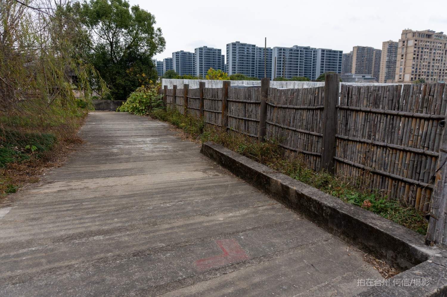 黄岩西城街道委羽山道教主题公园宗教场所道教圣地(图3)