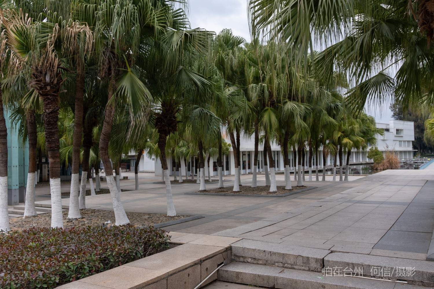 黄岩西城街道永宁公园永宁江河道沿岸大型公园(图54)