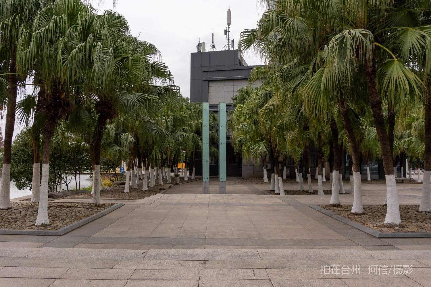 黄岩西城街道永宁公园永宁江河道沿岸大型公园(图53)