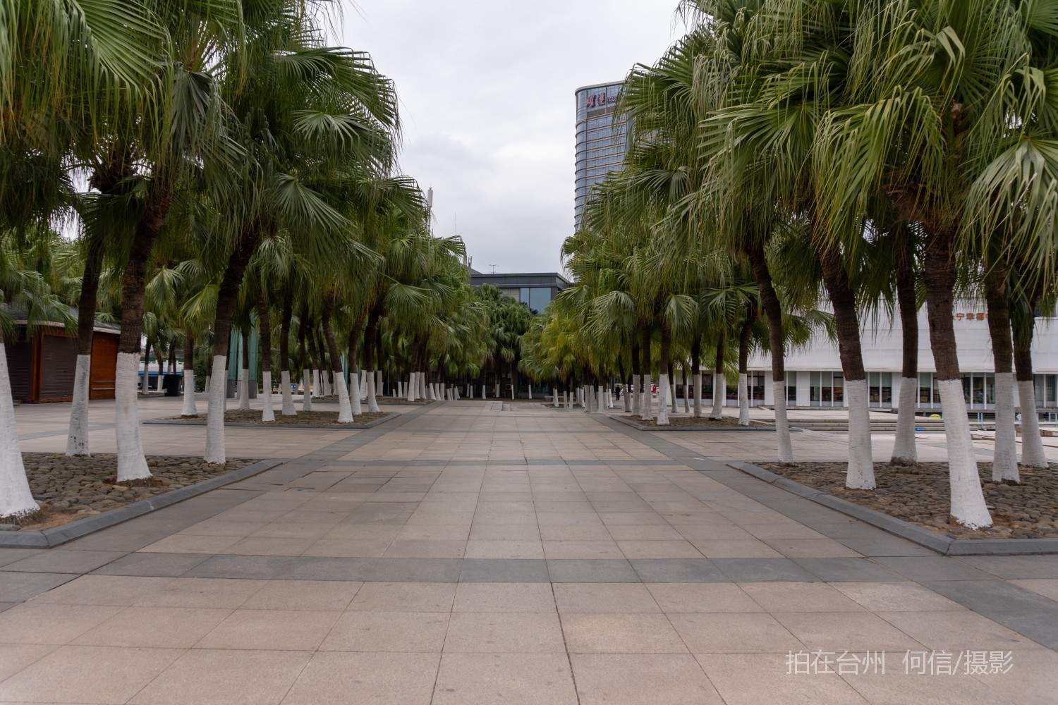 黄岩西城街道永宁公园永宁江河道沿岸大型公园(图48)