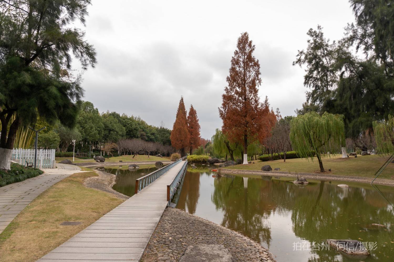 黄岩西城街道永宁公园永宁江河道沿岸大型公园(图30)