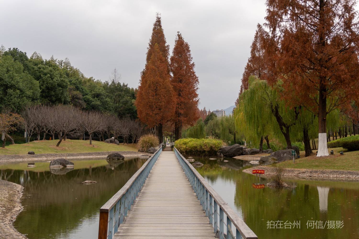 黄岩西城街道永宁公园永宁江河道沿岸大型公园(图32)