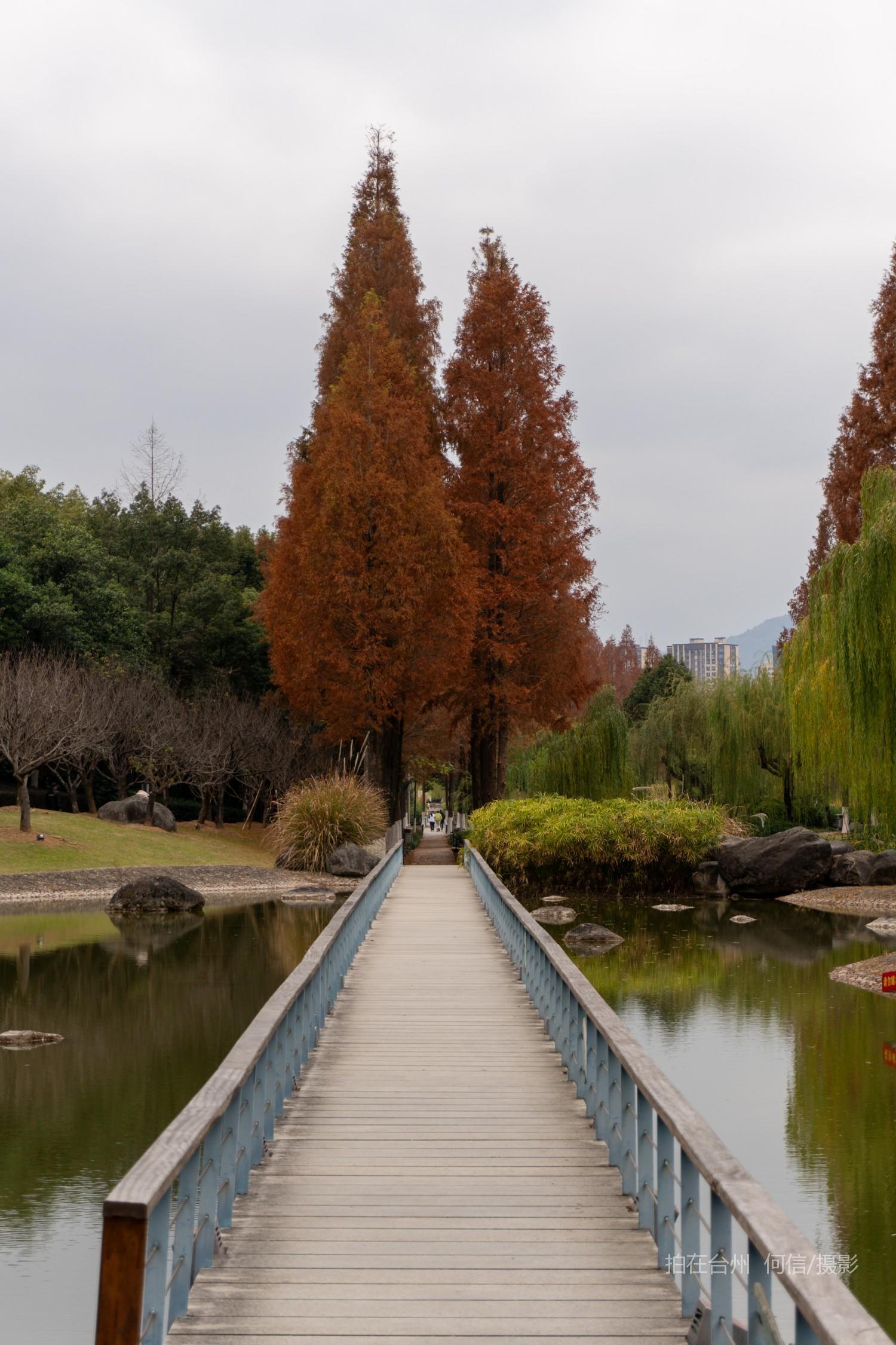 黄岩西城街道永宁公园永宁江河道沿岸大型公园(图31)