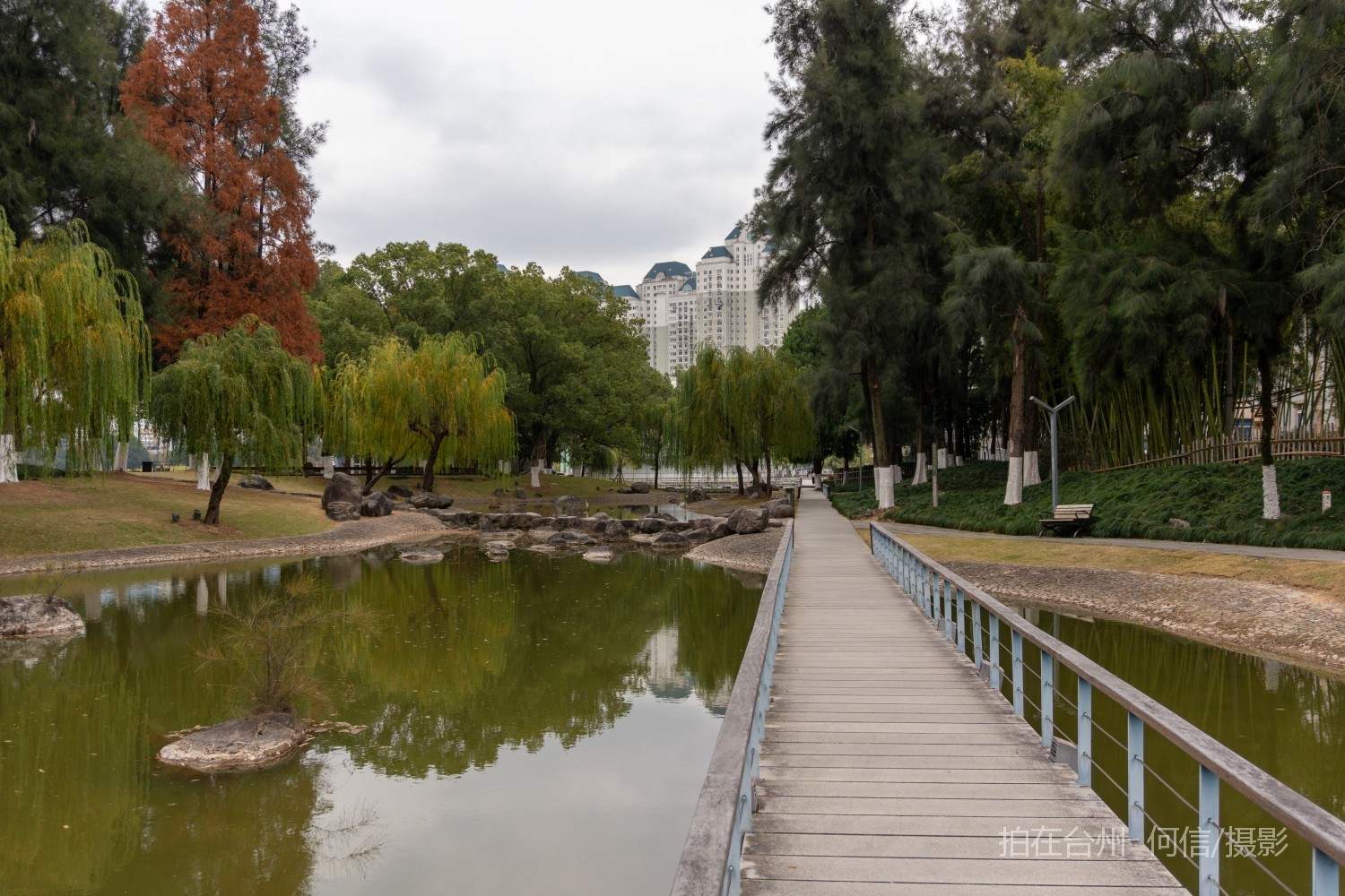 黄岩西城街道永宁公园永宁江河道沿岸大型公园(图28)