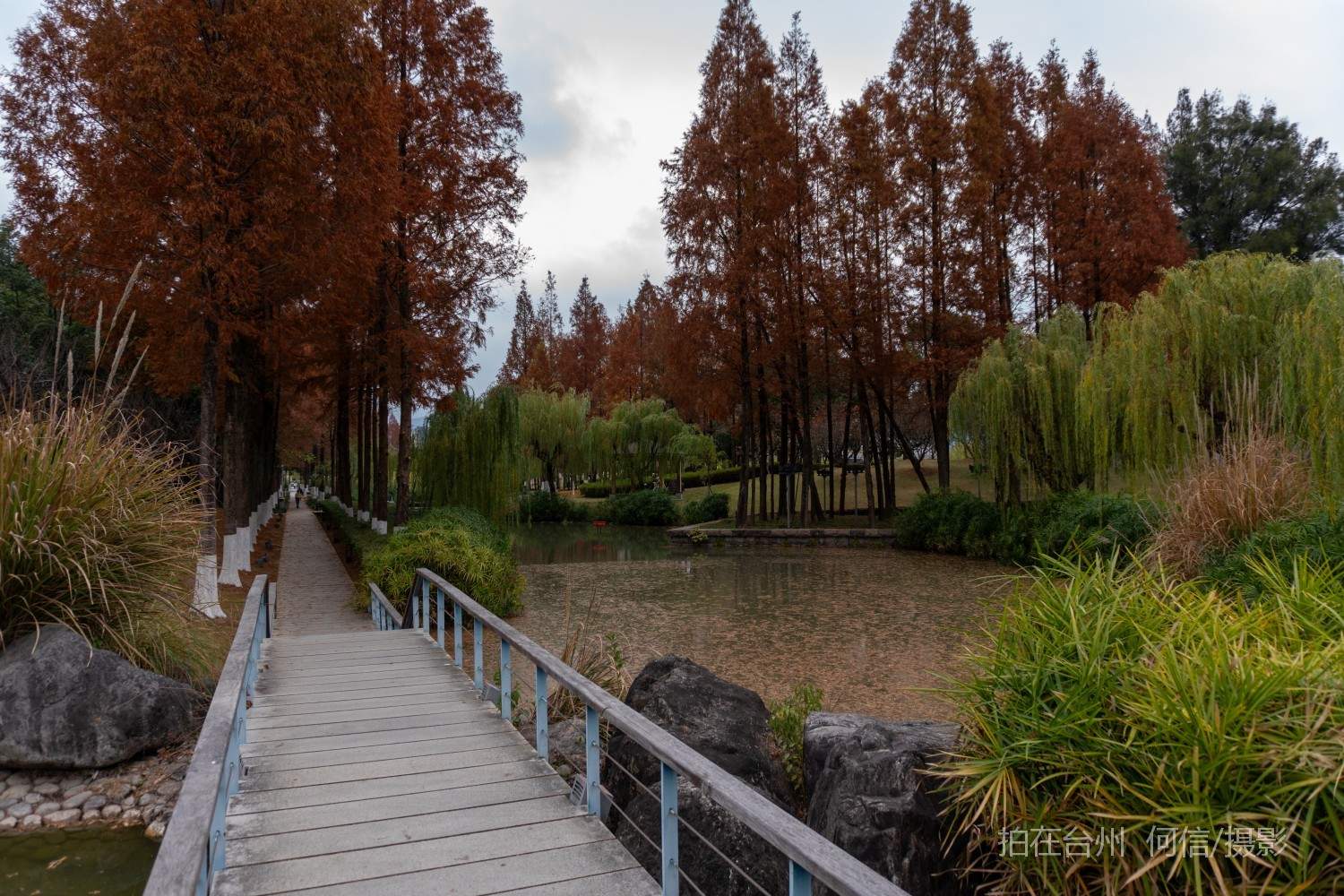 黄岩西城街道永宁公园永宁江河道沿岸大型公园(图27)