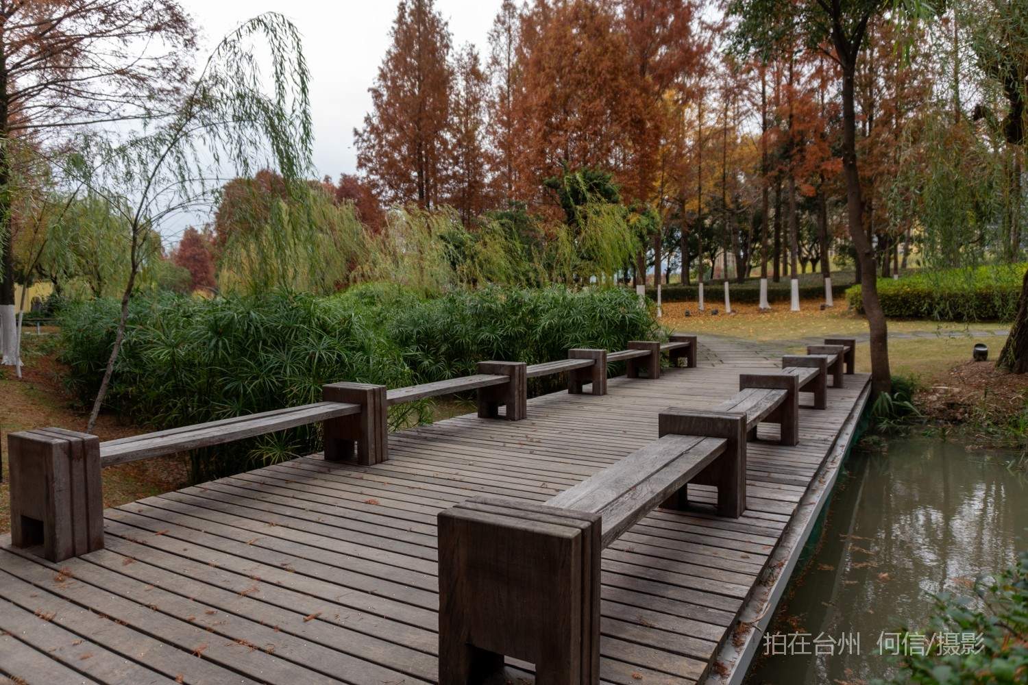 黄岩西城街道永宁公园永宁江河道沿岸大型公园(图24)