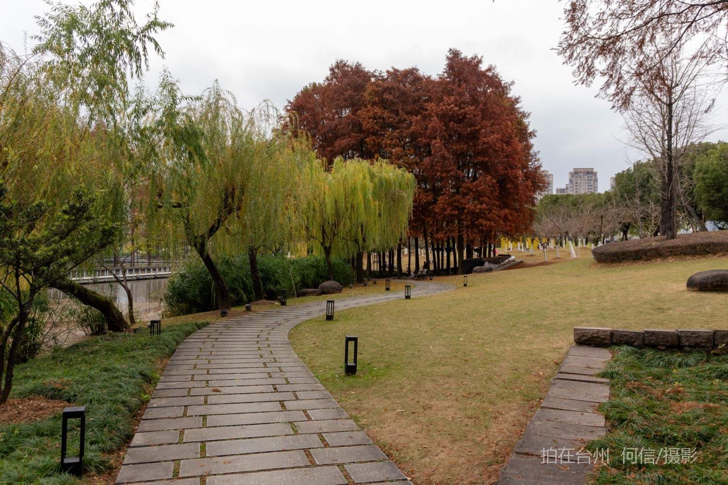 黄岩西城街道永宁公园永宁江河道沿岸大型公园(图22)