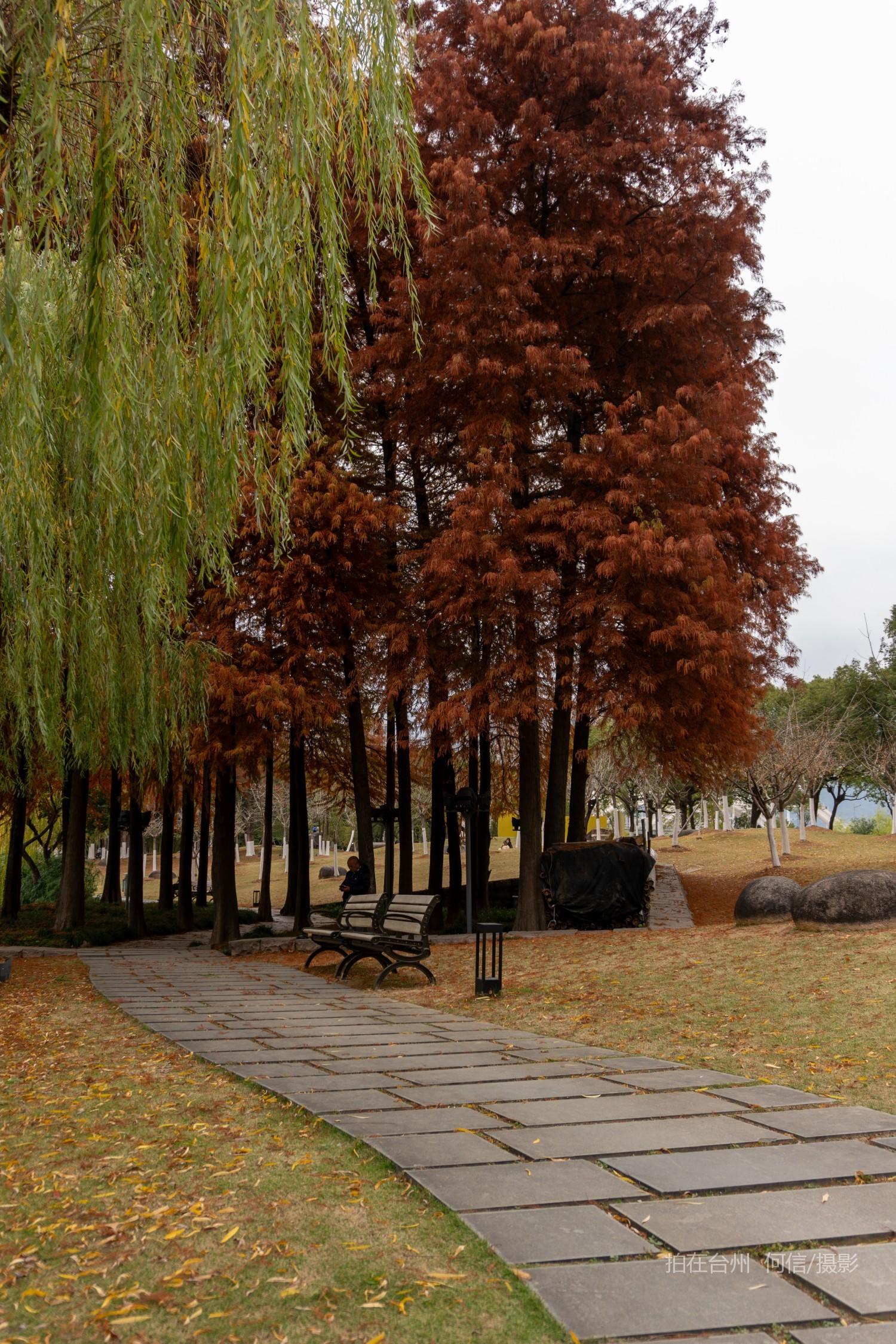 黄岩西城街道永宁公园永宁江河道沿岸大型公园(图21)