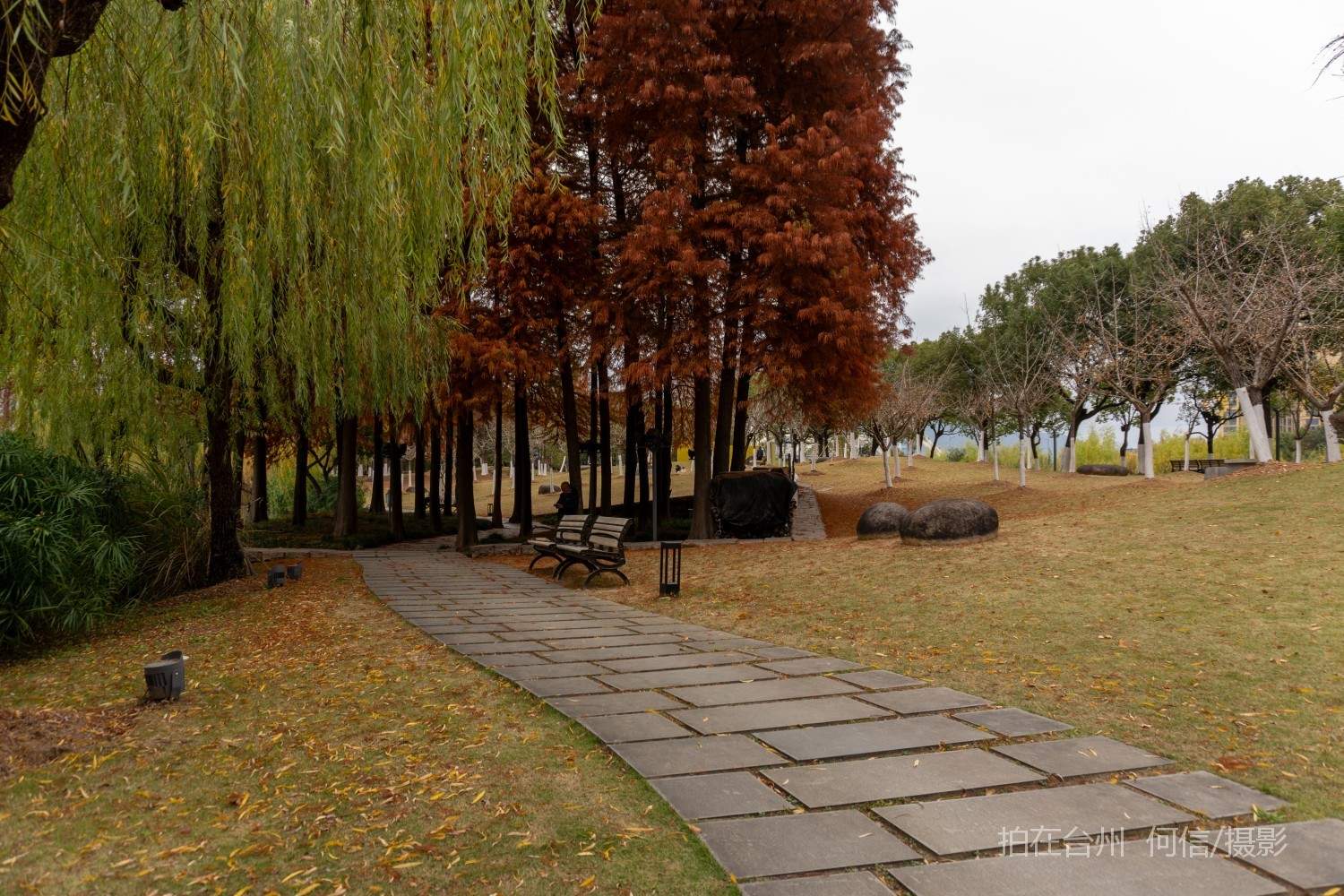 黄岩西城街道永宁公园永宁江河道沿岸大型公园(图20)