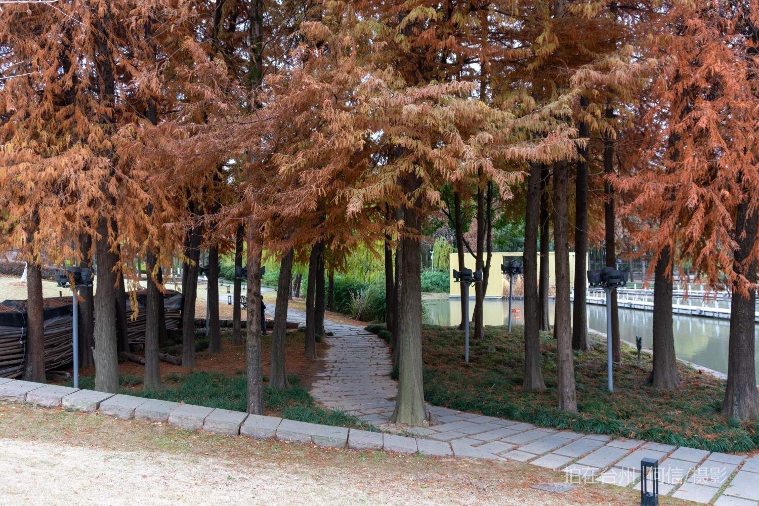 黄岩西城街道永宁公园永宁江河道沿岸大型公园(图18)