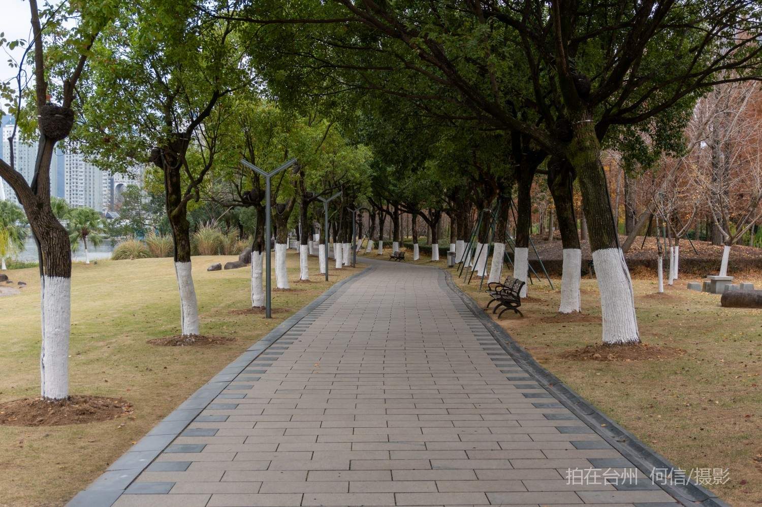 黄岩西城街道永宁公园永宁江河道沿岸大型公园(图17)