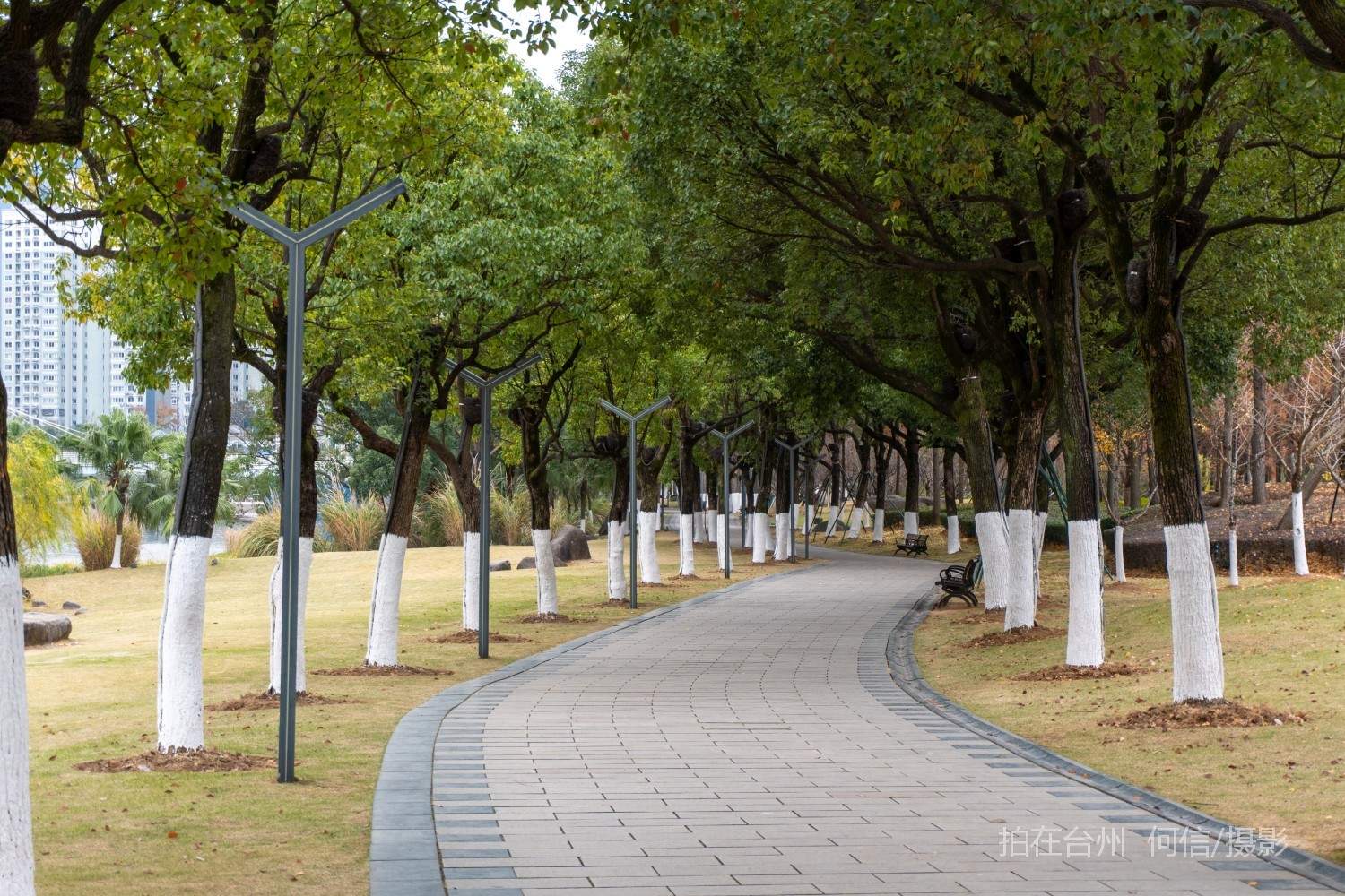 黄岩西城街道永宁公园永宁江河道沿岸大型公园(图16)