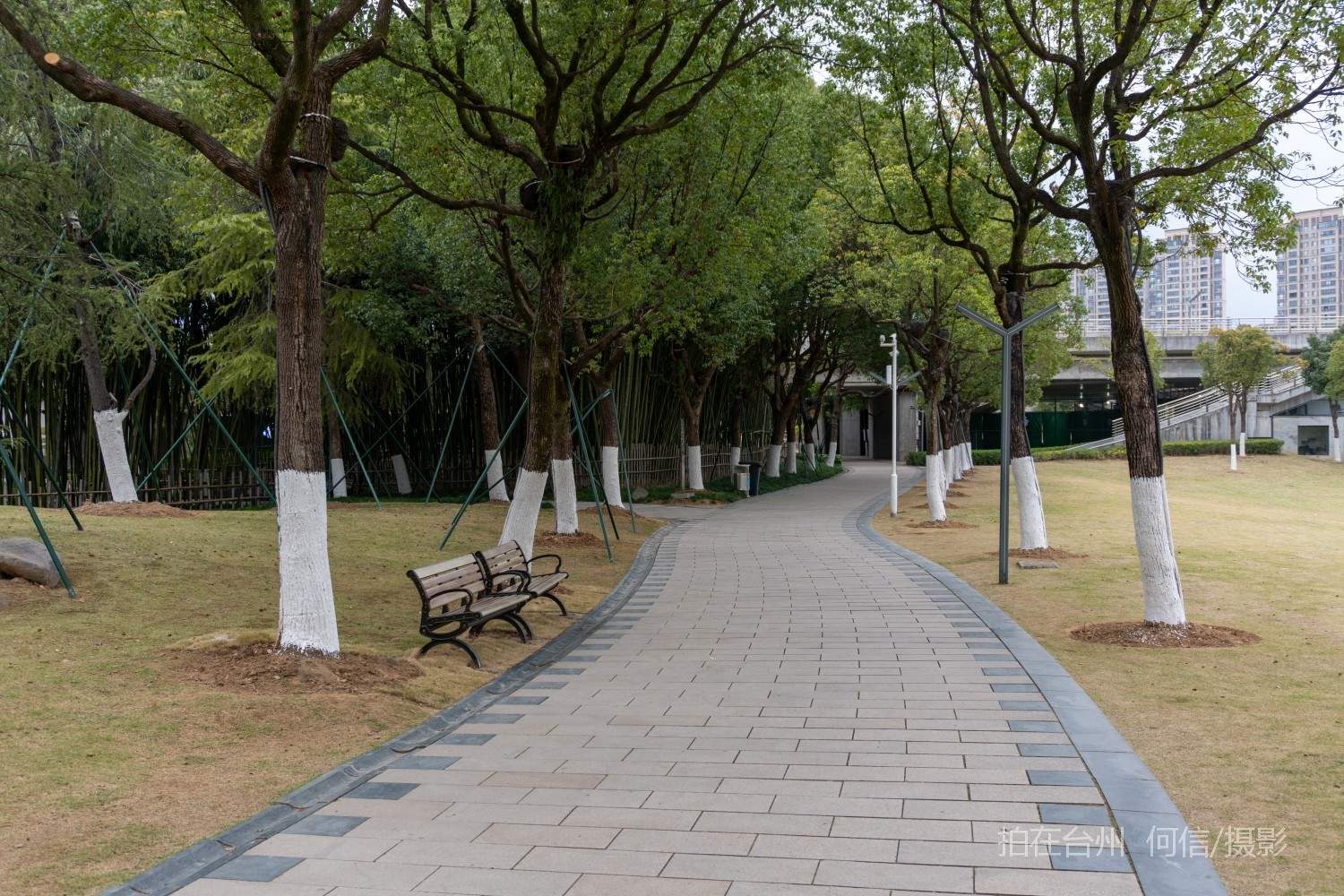 黄岩西城街道永宁公园永宁江河道沿岸大型公园(图14)