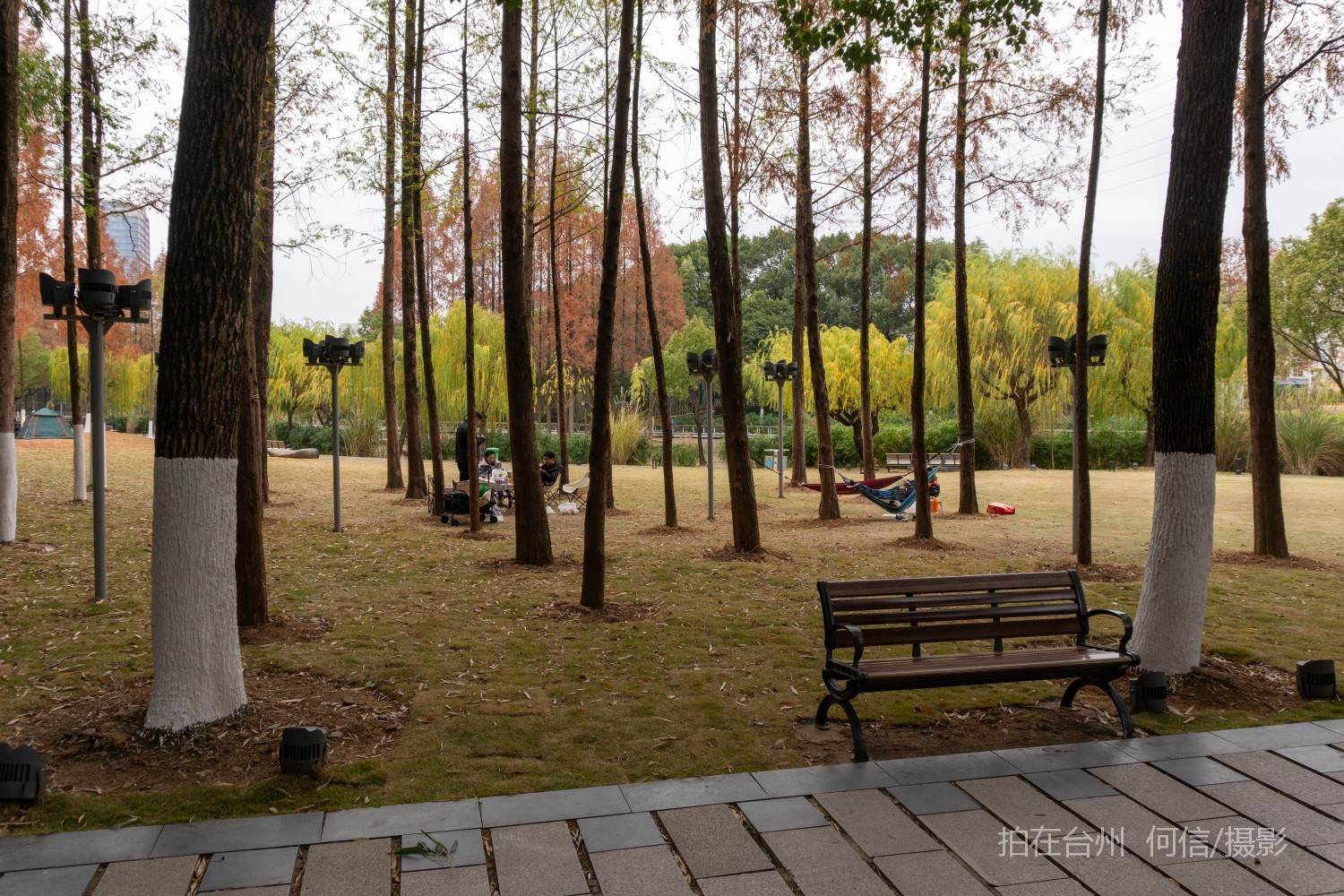 黄岩西城街道永宁公园永宁江河道沿岸大型公园(图11)