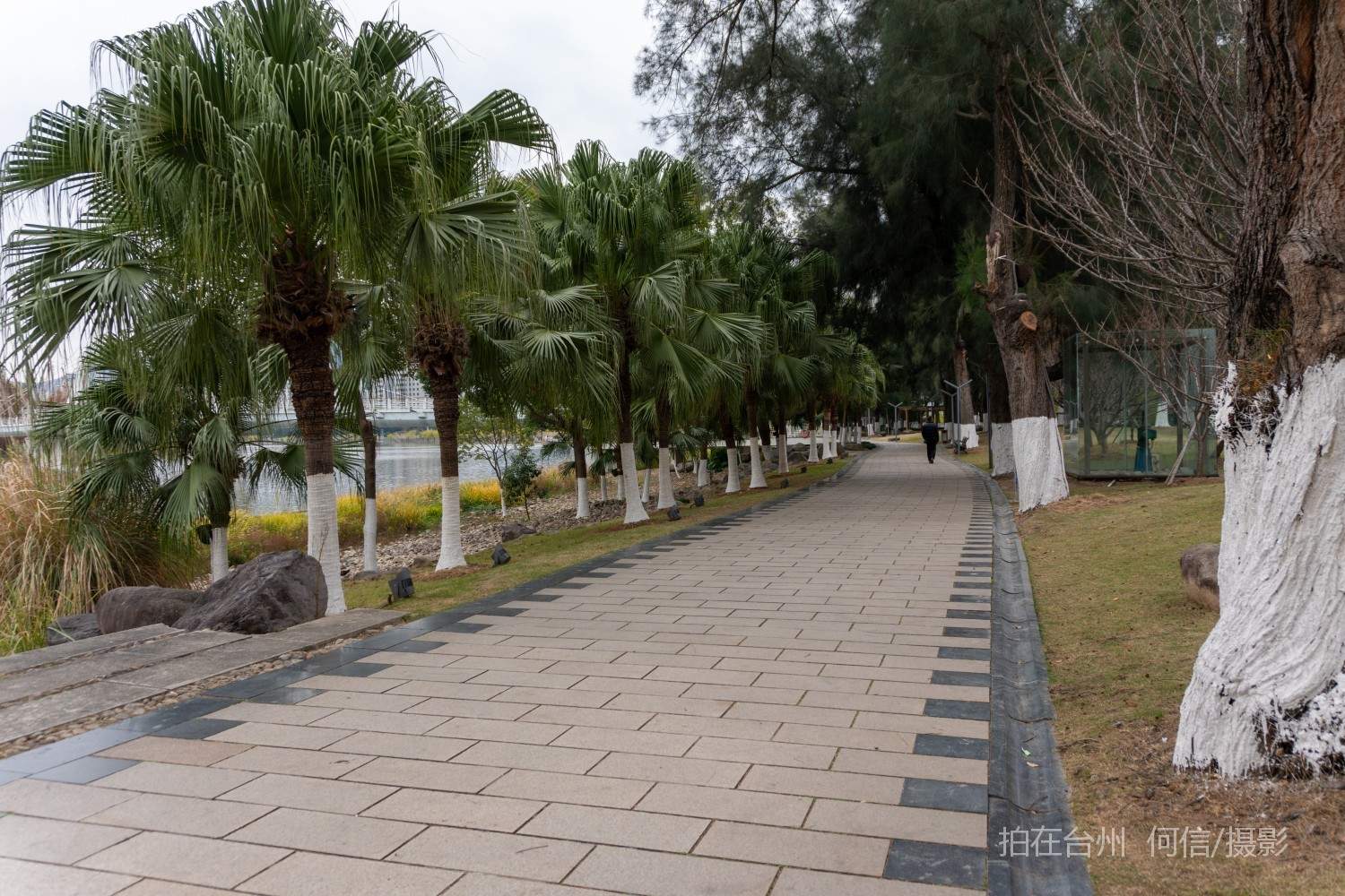 黄岩西城街道永宁公园永宁江河道沿岸大型公园(图6)