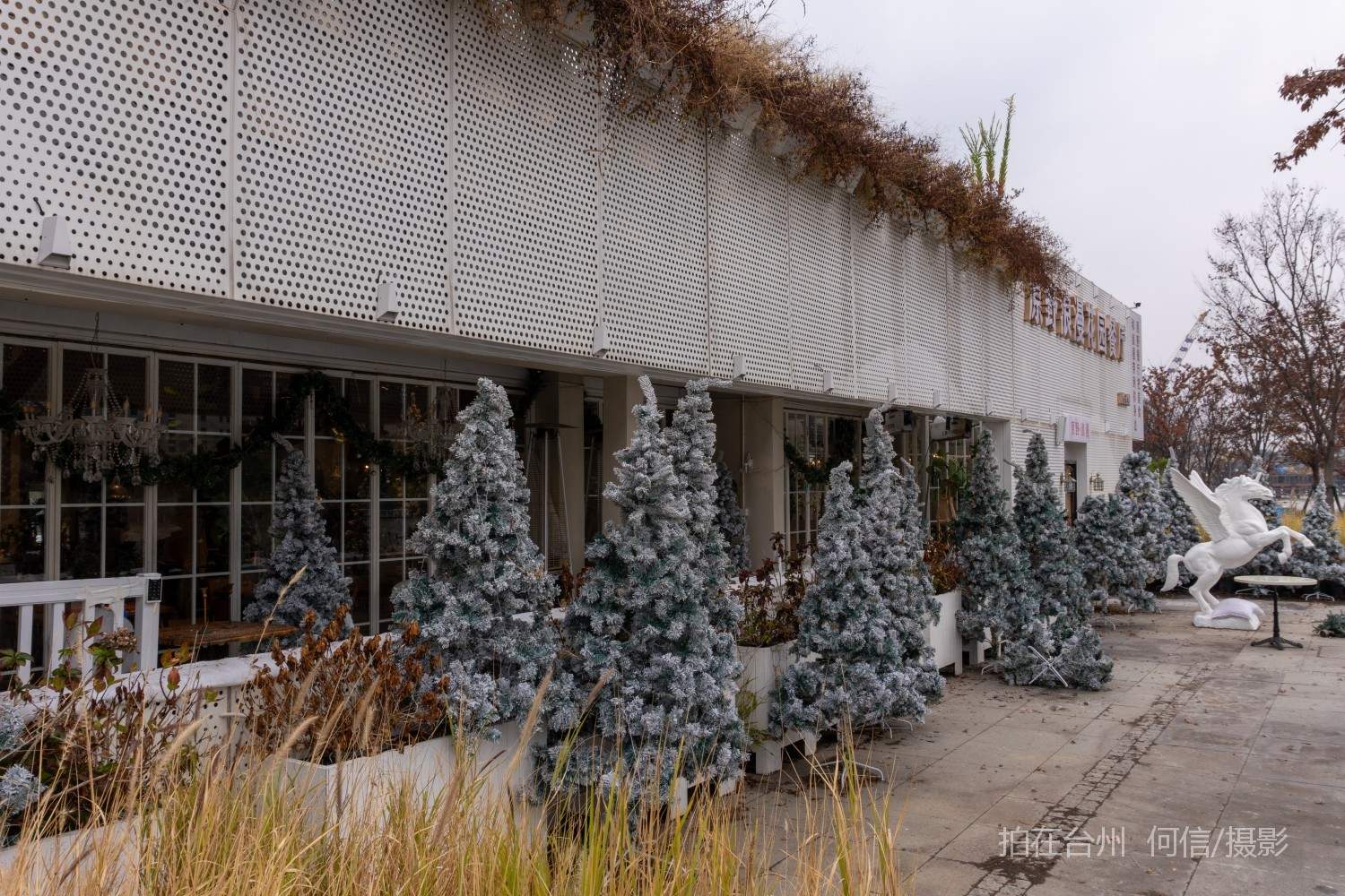黄岩西城街道 原野浪漫花园融合主题西餐厅(图14) 黄岩西城街道 原野浪漫花园融合主题西餐厅(图14)