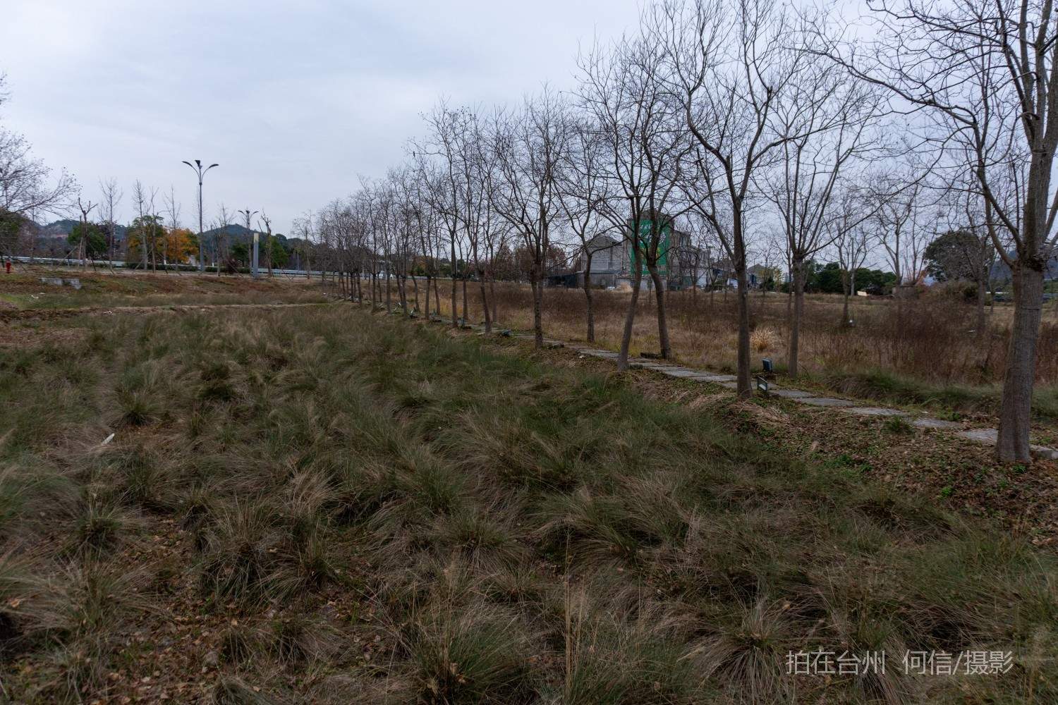 黄岩院桥镇鉴洋湖湿地公园(图20)