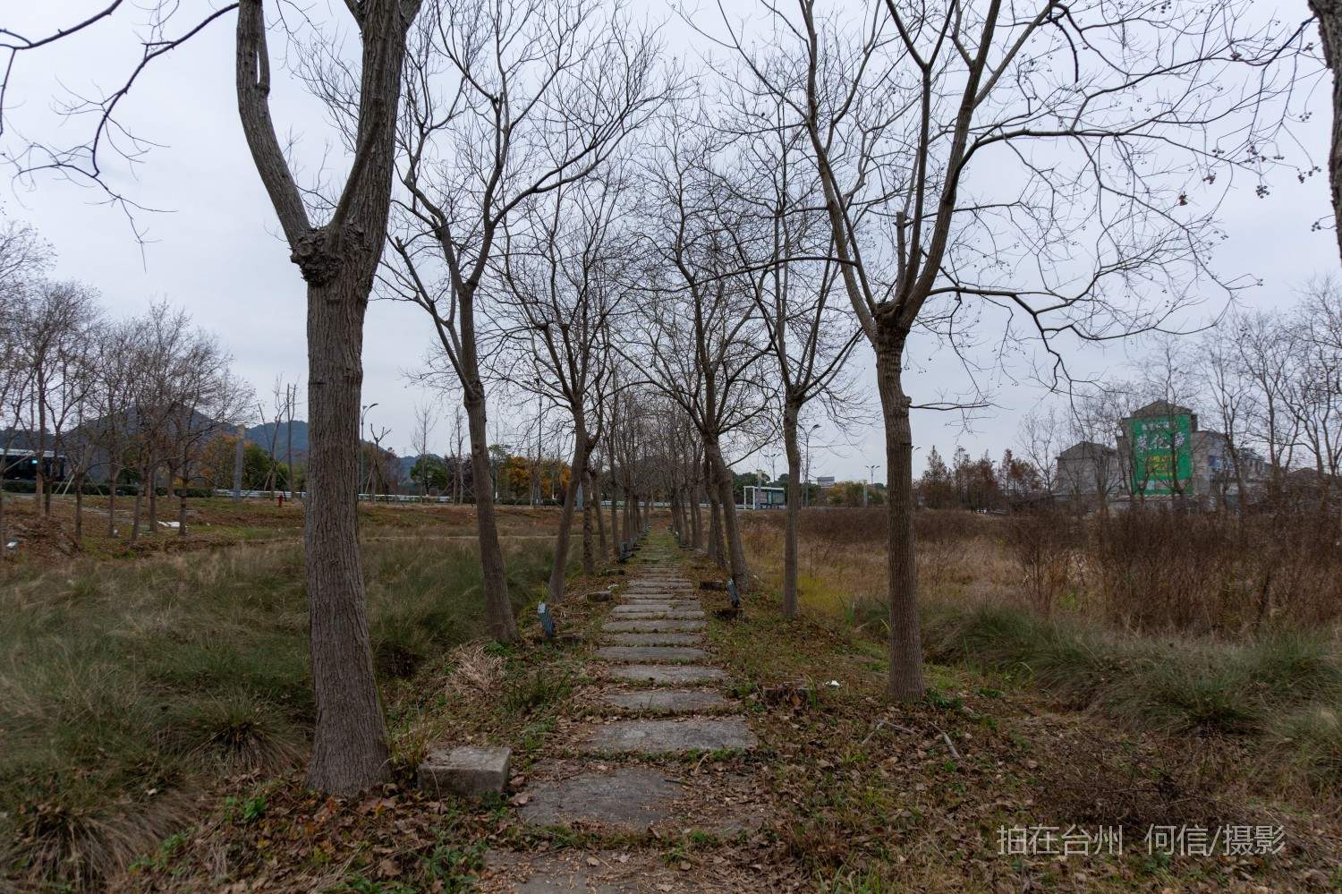 黄岩院桥镇鉴洋湖湿地公园(图18)